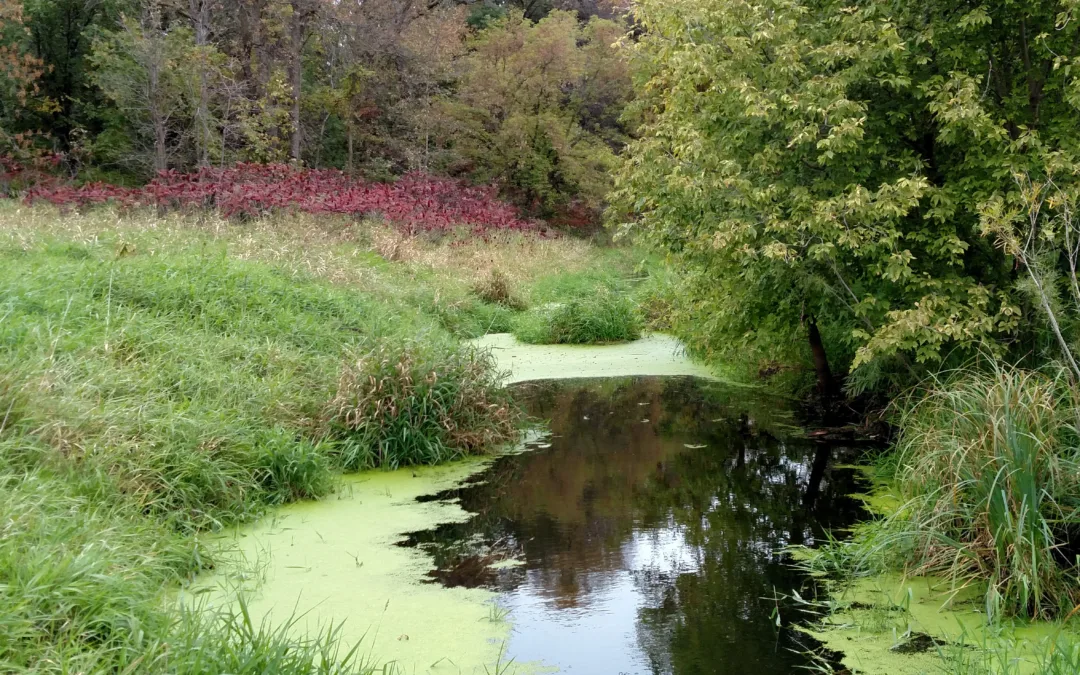 Conservation Reserve Program