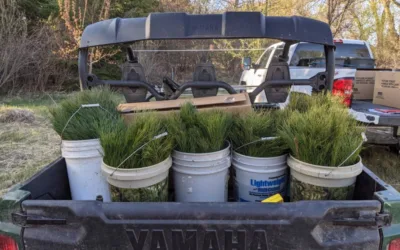 2026 Tree Sales are live