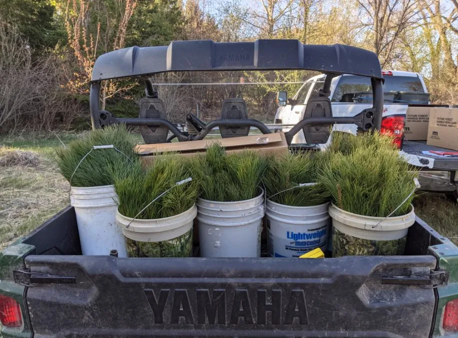 2026 Tree Sales are live